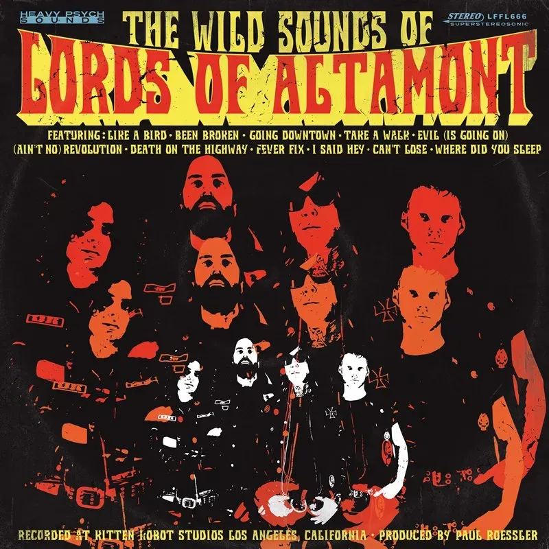 The Lords Of Altamont The Wild Sounds of Lords of Altamont vinyl LP