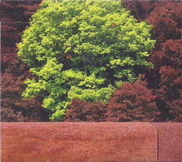 Thurston Moore Trees Outside The Academy brukt CD digipak