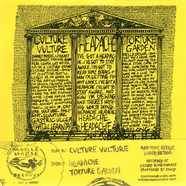 Good Throb Culture Vulture 7" vinyl brukt punk