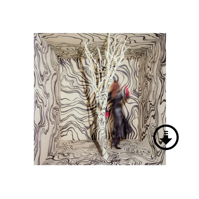 Verve Madison Cunningham Revealer digital album