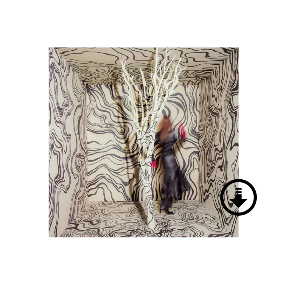 Verve Madison Cunningham Revealer digital album