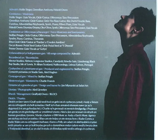 Adwaith Solas LIB240 CD brukt indiepop