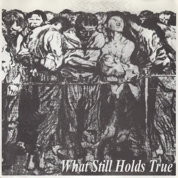Various What Still Holds True 7" brukt hardcore