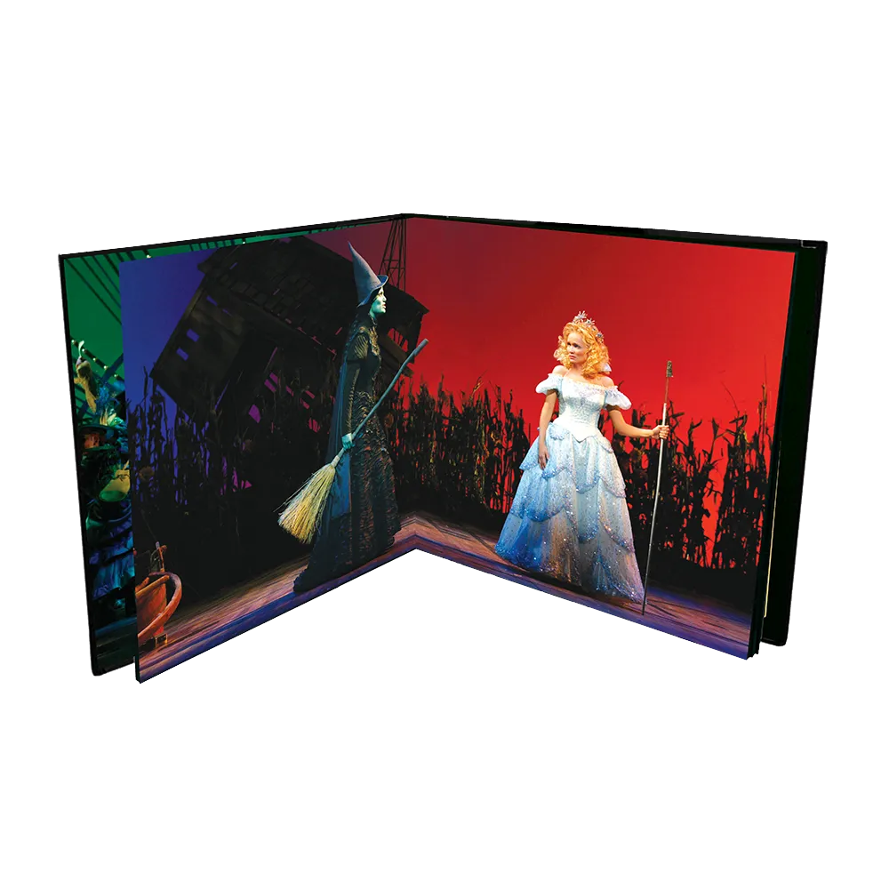 Wicked 20th Anniversary 2LP grønn vinyl booklet
